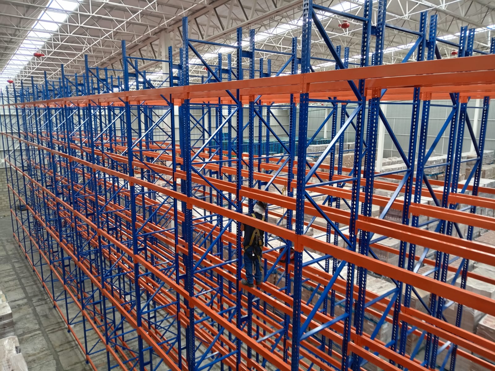 Rack Selectivo XANDER
